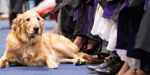 Nugget the Service Dog Earns ‘Juris Dogtor’ Honor at UMKC Graduation