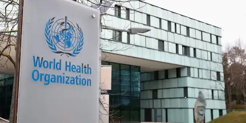WHO Guidance on Autism, Vaccines, and Pregnancy Safety